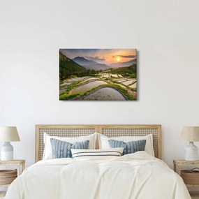Kép - Rizsteraszok (90x60 cm)