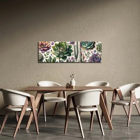 Kép - Pozsgás növények (órával) (90x30 cm)
