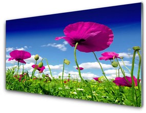 Akrilkép Sky Meadow Flowers Nature 100x50 cm 2 fogas