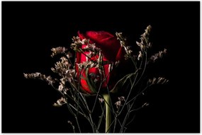 Poszterek 120x80 Rózsa Virág Virágok Rózsa