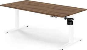 Elektromos, állítható magasságú, ergonomikus, fehér/dió íróasztal,1600x800 mm: ARIA