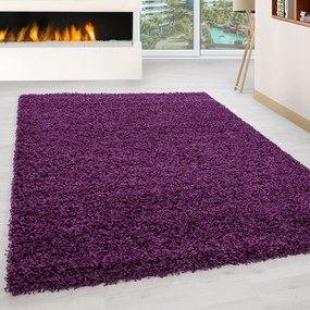 Sötétlila szőnyeg 80x150 cm Life – Ayyildiz Carpets