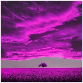 Poszterek 30x30 Lila tájkép
