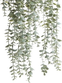 FLORISTA eukaliptusz felakasztható cserépben 65 cm