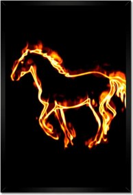 Poszterek keretben 40x60 Tűz paripa
