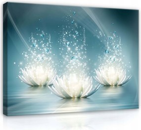 Vászonkép 70x50 Lótusz harmónia Modern művészet minimalista nappali