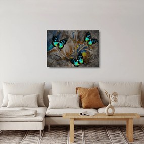 Kép - fényes pillangók képben (üvegen) (70x50 cm)