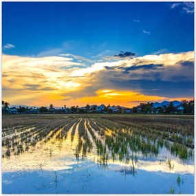 Fotótapéták flizelina 312x312 Kilátás Tájkép