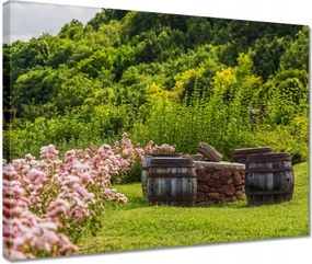 Vászonkép 40x30 Csodálatos kert