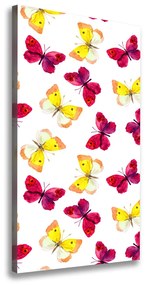 Vászonkép Színes pillangók ocv-96038679