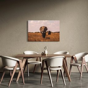 Kép - Az elefánt érkezése (90x60 cm)