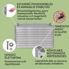 Blumfeldt Blum High Grow Straight, magaságyás, 200x90x100cm, 1800 l, acél