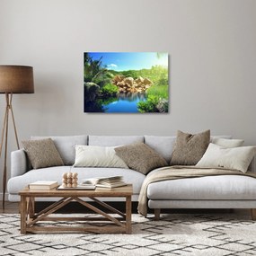 A tó képe a Seychelle-szigetek dzsungelében (üvegen) (70x50 cm)