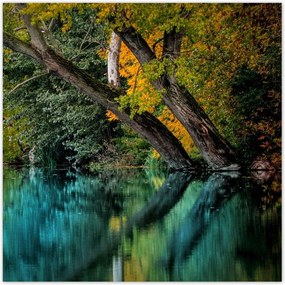 Poszterek 100x100 Őszi táj Folyó