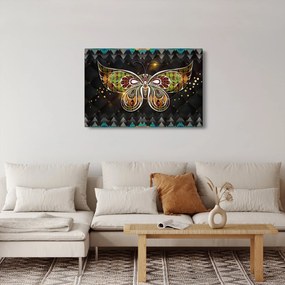 Kép - Mágikus pillangó (90x60 cm)
