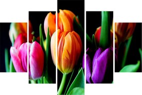 Tulipánok képe fekete alapon (150x105 cm)