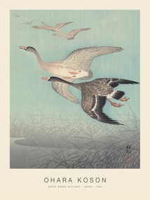 Festmény reprodukció Great geese in flight (Special Edition) - Ohara Koson, (30 x 40 cm)