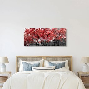 Kép - vörös fák, Central Park, New York (120x50 cm)