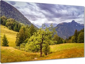 Festmények 120x80 Fa az égig