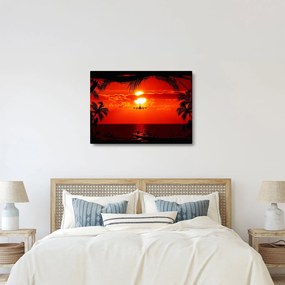 Kép - naplemente repülőgéppel (70x50 cm)