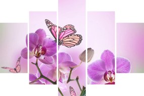 Kép - Pillangó orchidea virágon, lila (150x105 cm)