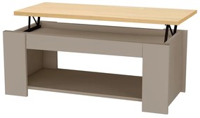 Szürke-natúr színű dohányzóasztal tölgyfa dekoros asztallappal 105x47 cm Emerald – Støraa