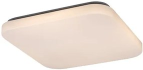 Rob