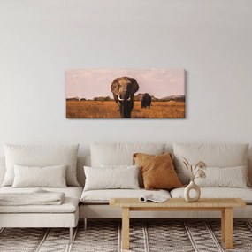 Kép - Az elefánt érkezése (120x50 cm)