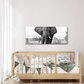 Kép - Afrikai elefánt II. (120x50 cm)