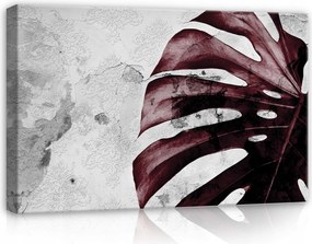 Vászonkép 60x40 Monstera levél bordó vintage textúra absztrakt botanika