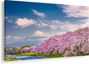 Kép - Japán tavaszi táj (90x60 cm)