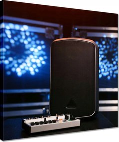 Vászonkép 40x40 Hordozható hangszóró Dj Múzsa