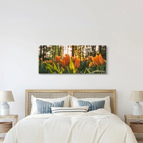 Narancssárga tulipán képe (120x50 cm)