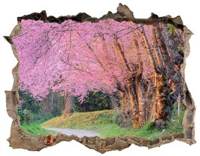 3d-s lyuk vizuális effektusok matrica Cseresznye virágok nd-k-77554228