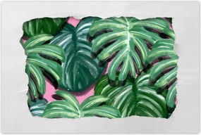 Poszterek 90x60 Monstera Levelek levél