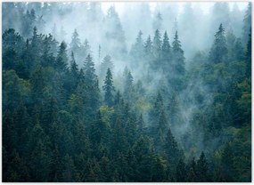 Fotótapéták 254x184 Erdő a ködben Utazás
