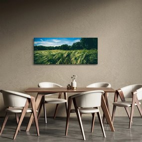 Rét és az erdő képe (120x50 cm)