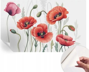 Modern öntapadós fali fotótapéta Piros pipacs 416x254 cm