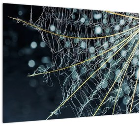 Kép - Virág pókhálóval (70x50 cm)
