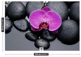 Fotótapéta orchidea Stones 104x70 cm
