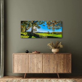 Kép - mező, kilátás (120x50 cm)