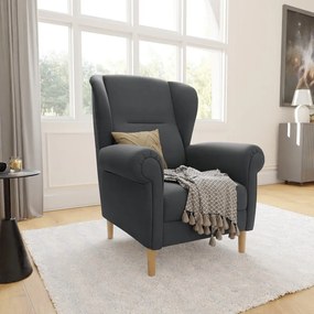 Sötétszürke füles fotel Swan – Ropez