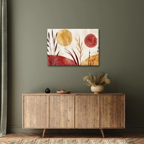 Kép - Növények és körök (70x50 cm)