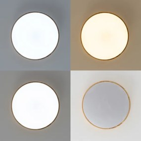 Brilagi - LED fényerőszabályozható mennyezeti lámpa PINE LED/60W/230V + távirányítóval