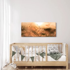 Kép - Fű a napon (120x50 cm)