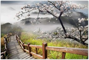 Poszterek 120x80 Japán Virágzó cseresznye