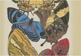 Divatos Flizelin Fali Tapéta Furnér Pillangók inspiráció 152x104 Ragasztó