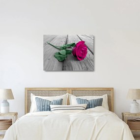 Üveg kép - Rózsaszín rózsa zöld szárral (70x50 cm)