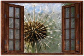 Poszterek 60x40 Pitypang Virág Virágok