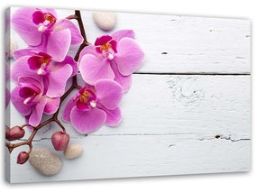 Gario Vászonkép Rózsaszín orchidea és bimbók Méret: 60 x 40 cm